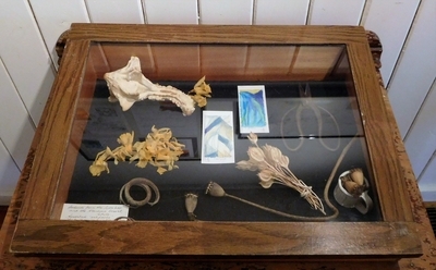 Artifacts from North and South America